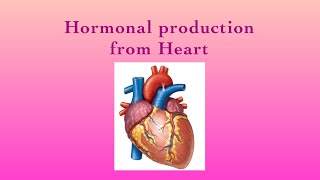 ENDOCRINE SYSTEMHormonal production from HeartPart13 [upl. by Louls]