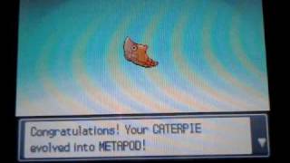 Shiny Caterpie Evolves To Shiny Metapod [upl. by Fortunio787]