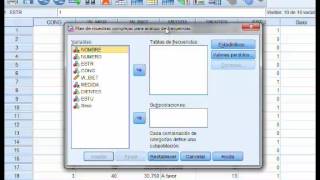 Estimación de parámetros con ponderaciones y SPSS [upl. by Richarda973]