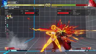 Akira combo utilizing all her buffs in Championship Edition [upl. by Canotas279]