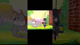 خدت بالك🙀💔🤦 ميدوو tomandjerry انميشن كارتون ضحك مضحك هزار نكت fpyシ fypシ゚ Funny cartoon [upl. by Yks]