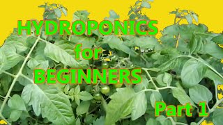 Hydroponics for Beginners DWC homemade DIY Under 50 Part 1 [upl. by Ecnerrot369]