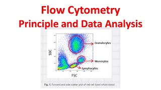 Flow cytometry Tutorial  Flow Cytometry Data Analysis  Flow cytometry Gating [upl. by Ardnaid950]