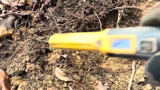 LIVE METAL DETECTING amp DUMP DIGGING countrydiggers metaldetecting dumpdigging [upl. by Yrdua492]