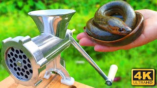 Experiment MEAT GRINDER vs EEL FISH CATFISH [upl. by Kung]