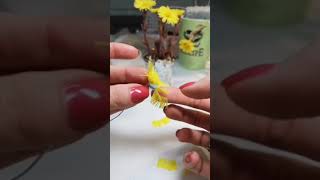 Матьимачеха видеоурок  Coltsfoot tutorial [upl. by Lorraine693]