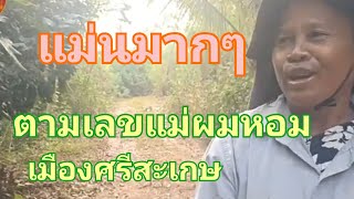 แม่นมากๆ แม่ผมหอมหมายเลข ตามต่องวด 1 เมษายน 67 [upl. by Couhp]