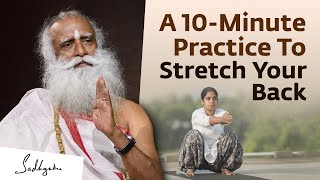 Morning Yoga For Beginners A 10Minute Practice To Stretch Your Back  Yoga Namaskar [upl. by Llekcm]