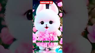 Piche Piche cuts cat video Naat 😈 cute short youtubeshorts islam catsstyle love status [upl. by Yhtommit946]