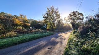 Walking about in Farleigh Woods Live 27102024  Mobile Stream 821 [upl. by Ellenad]