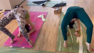 Backbending practice in class  ♥️🧘‍  fitness yoga [upl. by Slosberg]