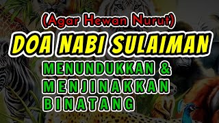 Doa Nabi Sulaiman Untuk Menundukan Dan Menjinakkan Binatang Dan Agar Hewan Nurut [upl. by Milone]