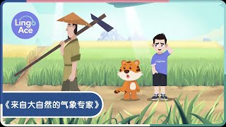 学中文打开新视界之《来自大自然的气象专家》Learn Chinese with LingoAce Using Nature to Predict the Weather [upl. by Ede]