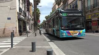 Les bus à Perpignan [upl. by Irual]