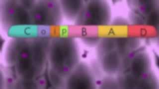 The Arabinose Operon [upl. by Gentry]