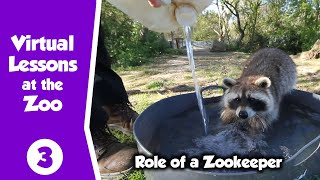 Virtual Zoo  Role of Zookeeper  Learn all about what Keepers do [upl. by Bertha]