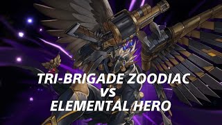 YuGiOh Master Duel  Tribrigade Zoodiac vs Elemental Hero [upl. by Oap322]