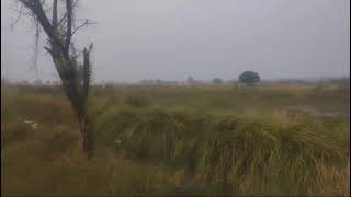 R zone land in kharkhoda Sonipat HARYANA [upl. by Oznecniv166]