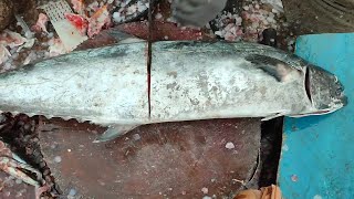 king mackerel surmai fish cutting fish market karachi fisheries [upl. by Einnalem]