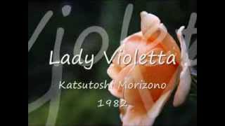 Lady Violetta  Katsutoshi Morizono [upl. by Lonier]