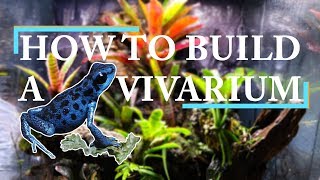 THE ULTIMATE VIVARIUM BUILD  Drylok Background [upl. by Alcot]