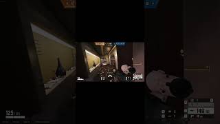 Mozzie  Zofia gameplay rb6siege rainbowsixsiege gaming csgo siege r6s [upl. by Aihsekram]