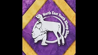 Northeast Youth Sheep Show  RING 1 Sunday July 21 2024  800 AM [upl. by Kristina]