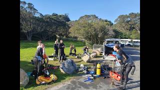 PADI Open water Diving Learning to Dive with Dive HQ Auckland [upl. by Oisinoid476]