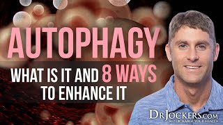 Autophagy What is it and 8 Ways to Enhance It [upl. by Naugal423]