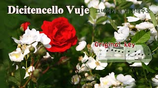 Dicitencello Vuie  Original Ita amp Kor lyrics▶ 그녀에게 내 말 전해주오 [upl. by Gaeta]