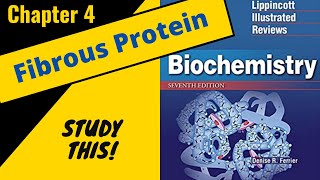 Lippincotts Biochemistry Review Chapter 4 Fibrous Proteins  Study This [upl. by Sunshine]