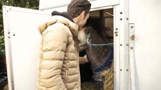 MY NEW HORSE ARRIVES MATT HARNACKE [upl. by Blessington854]