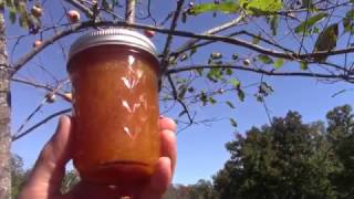 Persimmon Jam  Fruit Preserve  Spread  Part 2 Final [upl. by Irbmac]