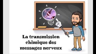 LES NEURONES partie 2  6 TSPÉ SVT [upl. by Nahguav]