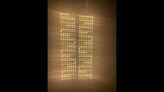 New 12V RGBW led Pixel matrix [upl. by Enneiviv]