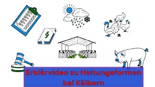 Wie werden Kälber gehalten Ein Erklärvideo [upl. by Ellevart]