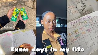 FINAL EXAMS WEEK📚🙇‍♀️ study with me  last push of the year 🤭 South African YouTuber [upl. by Hafeetal]