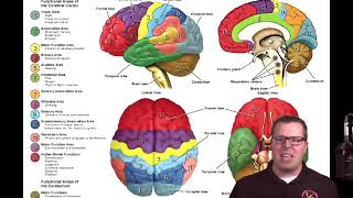 Stroke Prehospital Care pt 1 [upl. by Mord]