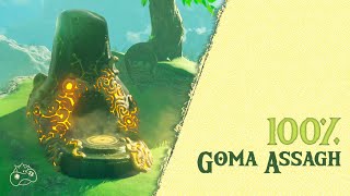 Goma Assagh Shrine  Zelda Breath of the Wild for Nintendo Switch [upl. by Basham47]