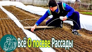 🌱 Посев семян на рассаду в парник своими руками 🍅🌶🍆 Посадка и массовое выращивание рассады Гордеевых [upl. by Nirehs]