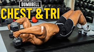 30 Minute Dumbbell Chest amp Triceps Workout No Bench  Build Muscle 2 [upl. by Nnaxor997]