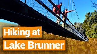 🥾 Hiking at Lake Brunner West Coast  New Zealands Biggest Gap Year – Backpacker Guide New Zealand [upl. by Skerl943]