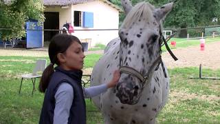 Découverte du poney à Renaudine équitation Bours [upl. by Eehtomit]