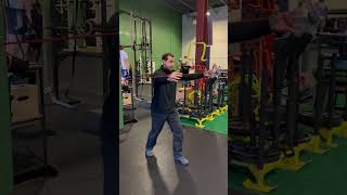 Dynamic Hug  Rotator Cuff Exercise  Subscapularis and Serratus Anterior Strength [upl. by Thorfinn]