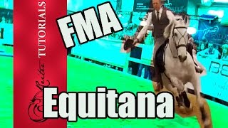 FMA Equitana 2017 ein Tag mit uns auf Tour Teil 1  Reitertutorials [upl. by Weinman]