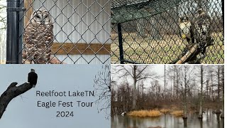 Searching for nesting Eagles at Reelfoot Lake State Park in TNTN State Park [upl. by Pirri]