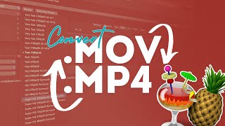 How To Convert Mov to Mp4 Best and Easy Way [upl. by Ful]