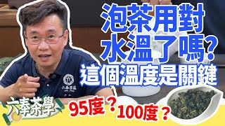 【六奉茶學】泡茶用對水溫了嗎？這個溫度是關鍵！不同茶葉適合的熱泡溫度 [upl. by Lledal56]