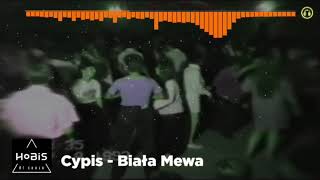 AI Cover 🤖🎤Lyrics Cypis  Biała Mewa ale Disco Polo 90 [upl. by Domella551]