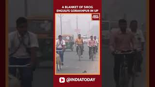 Thick Smog Covers Gorakhpur Air Quality Drops Drastically [upl. by Eneleoj]